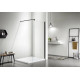 AQ WIW 08020BL Душевая перегородка Walk in с держателем 800x2000 профиль черный, стекло прозрачное
