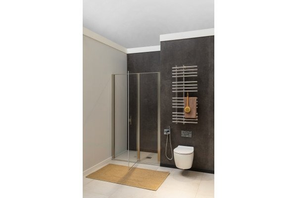 Душевая дверь в нишу Allen Brau Priority 3.31002.BA 90 распашная, стекло прозрачное