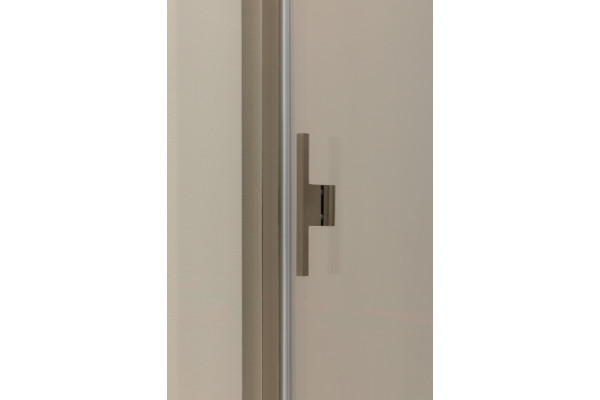 Душевая дверь в нишу Allen Brau Priority 3.31008.BA 120 распашная, стекло прозрачное