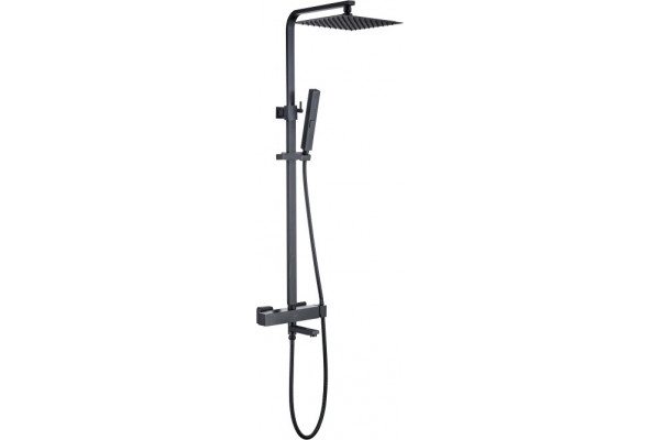 Душевая стойка Allen Brau Infinity 5.21029-31 черный матовый штанга 127.1 см, шланг 150 см
