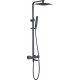 Душевая стойка Allen Brau Infinity 5.21029-31 черный матовый штанга 127.1 см, шланг 150 см