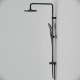 Душевая стойка Am.Pm Gem F0790022 цвет черный, штанга 146 см, шланг 175 см