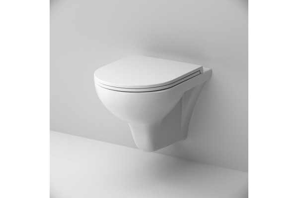 Унитаз подвесной Am.Pm Gem C901700SC безободковый, с микролифтом, белый, 36.5x50 см