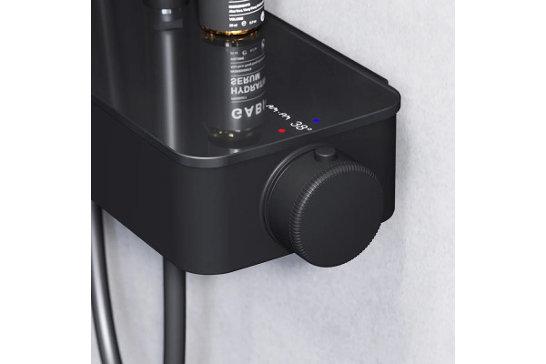 Душевая стойка Am.Pm Inspire V2.0 F0750A422 с термостатом, черная, цвет черный, штанга 146 см