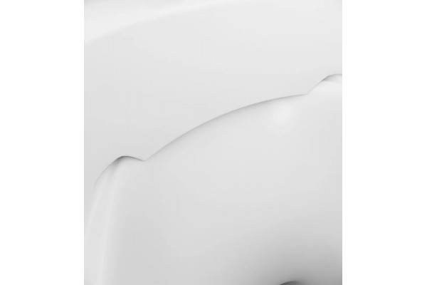 Унитаз подвесной Am.Pm Sensation FlashClean C301700WH белый, овальный, 39x55.5 см