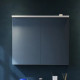 Зеркало-шкаф Am.Pm Spirit V2.0 80 с LED-подсветкой, белый глянец, с розеткой