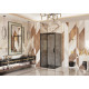 Душевой уголок Ambassador Benefit 19022201HBB-110HBB 120х110 см, профиль черный, стекло тонированное, прямоугольный, двери раздвижные
