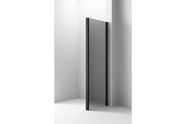 Душевой уголок Ambassador Intense 110022205IBB-80IBB 160х80 см, профиль черный, прямоугольный, двери раздвижные
