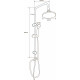 Душевая стойка Aquanet Passion R хром, штанга 84 см, шланг 150 см