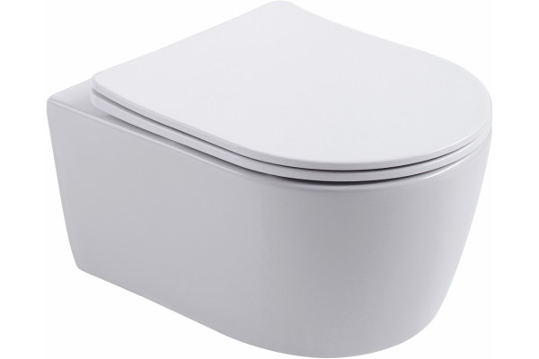 Унитаз подвесной Aquanet Smart 276395 безободковый, с микролифтом, белый, 36x49 см
