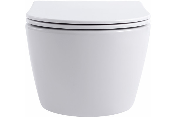 Унитаз подвесной Aquanet Smart 276395 безободковый, с микролифтом, белый, 36x49 см