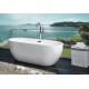 Акриловая ванна Aquanet Delight 170x78 овальная, отдельностоящая, объем 280 л.