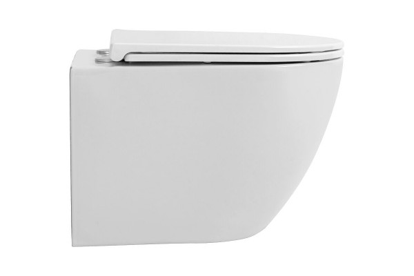 Подвесной унитаз Avimano Emotion 1000020 белый, глянцевый, микролифт, овальный, 36x49 см
