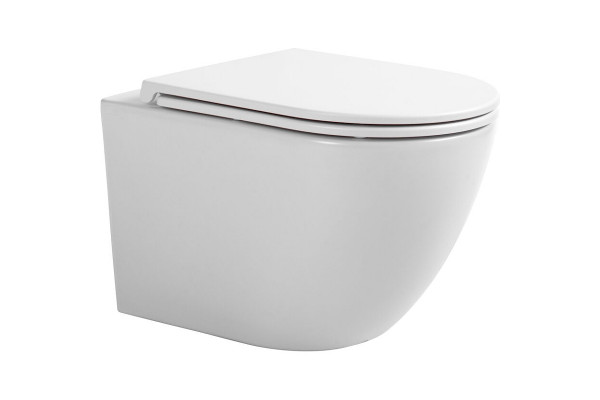 Подвесной унитаз Avimano Emotion 1000021 белый, матовый, микролифт, овальный, 36x49 см