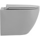 Подвесной унитаз Avimano Emotion 1000023 серый, матовый, микролифт, овальный, 36x49 см