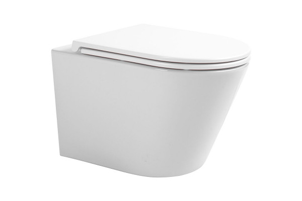 Подвесной унитаз Avimano Intuition 1000070 белый, глянцевый, микролифт, овальный, 36x49 см