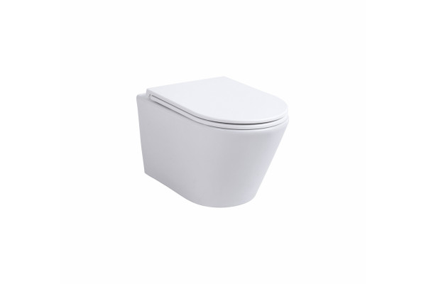 Подвесной унитаз Avimano Intuition 1001060 белый, глянцевый, микролифт, овальный, 36x53 см