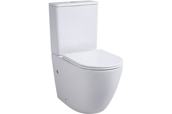 Напольный унитаз Avimano Emotion 1011030 белый, глянцевый, микролифт, овальный, 39x63 см