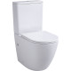 Напольный унитаз Avimano Emotion 1011030 белый, глянцевый, микролифт, овальный, 39x63 см