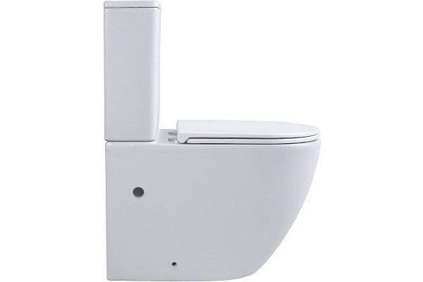 Напольный унитаз Avimano Emotion 1011030 белый, глянцевый, микролифт, овальный, 39x63 см