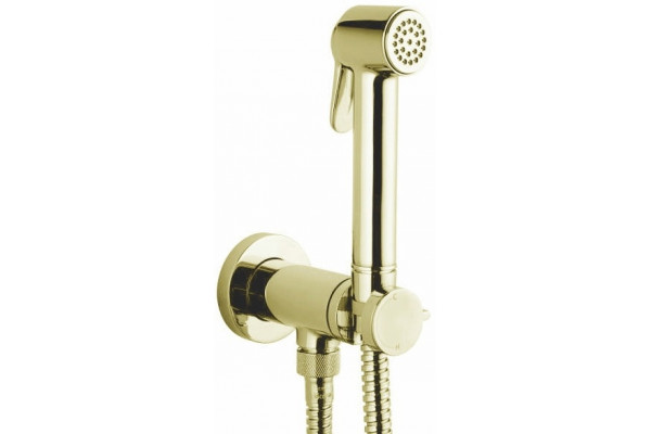 Гигиенический душ Bossini Paloma Brass Mixer Set E37005B.021 со смесителем, С ВНУТРЕННЕЙ ЧАСТЬЮ, золото в современном стиле