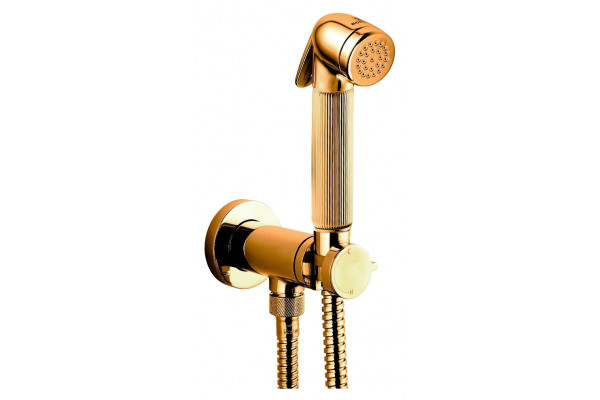 Гигиенический душ Bossini Nikita Mixer Set E37008 ORO со смесителем золото, 1 режим