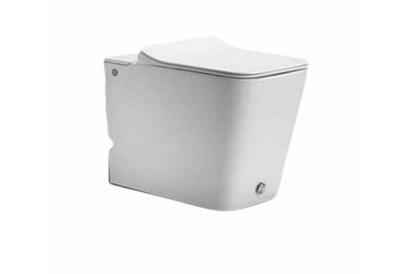 Приставной унитаз с функцией импульсного смыва Cerutti Spa Disgrazia Pulse CT7269, белый, прямоугольный, 36x60 см