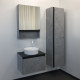 Зеркало-шкаф Comforty Эдинбург 60, бетон светлый, с дверками, прямоугольное