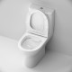 Унитаз-компакт Damixa Luna DX46C8600SC безободковый, с микролифтом, белый, 38.5x63.5 см