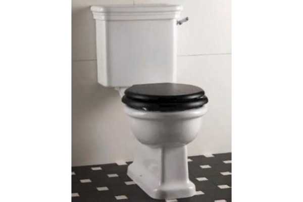 Devon Etoile Унитаз моноблок (50х30см) цвет: белый IBWCETCM