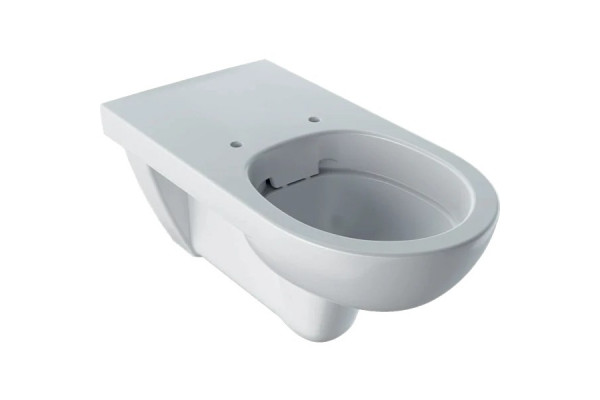 500.262.01.1 Selnova Comfort Подвесной унитаз Rimfree 700 мм (аналог 208520000. подходит сиденье 573015000)