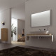 Зеркало с подсветкой Geberit Silk 120x62 816520000