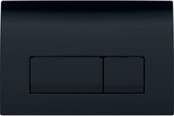 Кнопка смыва Geberit Delta 50 115.119.DW.1 черная механическая,  в стиле hi-tech
