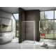 Душевой уголок Good Door Latte WTW+SP-C-WE 120x80 прямоугольный, двери раздвижные