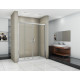 Душевая дверь в нишу Good Door Infinity WTW-TD-170-C-CH раздвижная, стекло прозрачное