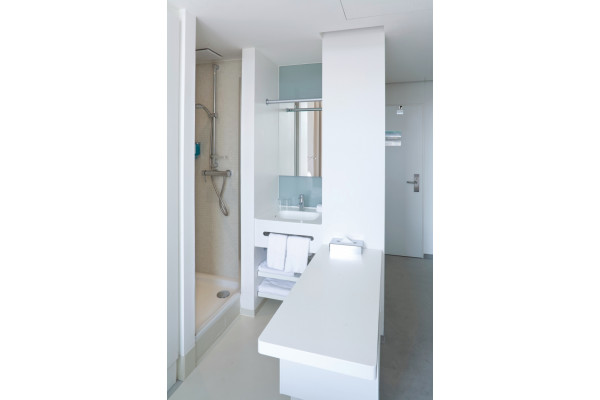 Душевая лейка Grohe Euphoria  хром, 2 режима