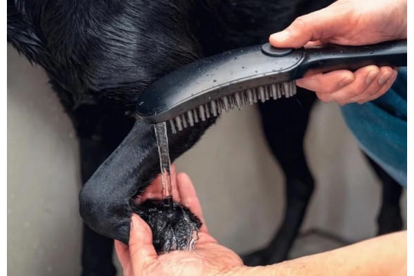 Душевая лейка Hansgrohe DogShower 26640670 для собак, черная, цвет черный, штанга 28 см