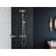 Душевая стойка Hansgrohe Raindance Select S 240 1jet 27633140 Showerpipe, шлифованная бронза, штанга 111.4 см, шланг пластиковый 160 см