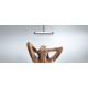 Верхний душ Hansgrohe Raindance Select E 300 2jet 26608000 хром штанга 19.6 см,  в современном стиле