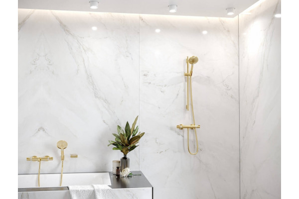 Душевая лейка Hansgrohe Raindance Select S 26530990 полированное золото штанга 22.25 см,  в современном стиле