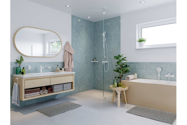 Душевая лейка Hansgrohe Raindance Select S 26530700 матовая белая цвет белый, штанга 22.25 см