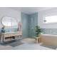 Душевая лейка Hansgrohe Raindance Select S 26530700 матовая белая цвет белый, штанга 22.25 см