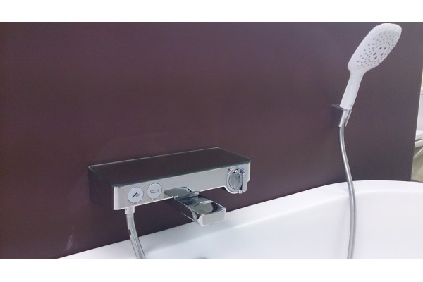 Термостат Hansgrohe Ecostat Select 13151400 для ванны с душем, термостат, длина излива 19.2 см