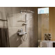 Душевой гарнитур Hansgrohe Raindance Select S 120 3jet Unica E 27648400 штанга 94.5 см, шланг 160 см