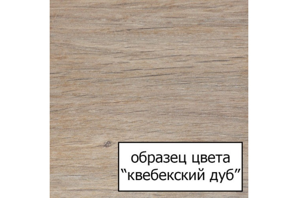 Тумба с раковиной Jacob Delafon Rythmik 100 2 ящика квебекский дуб, подвесная, с доводчиками