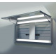 Зеркальный шкаф Keuco Edition 300 125х65 30202171201