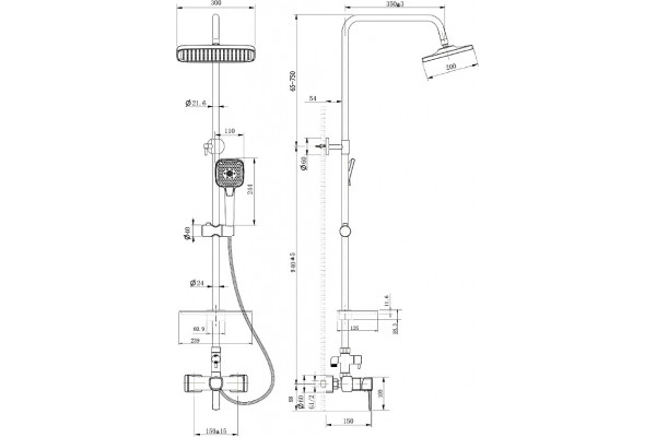 Душевая стойка Lemark Evitta LM0560C хром, штанга 169 см, шланг металлический 150 см