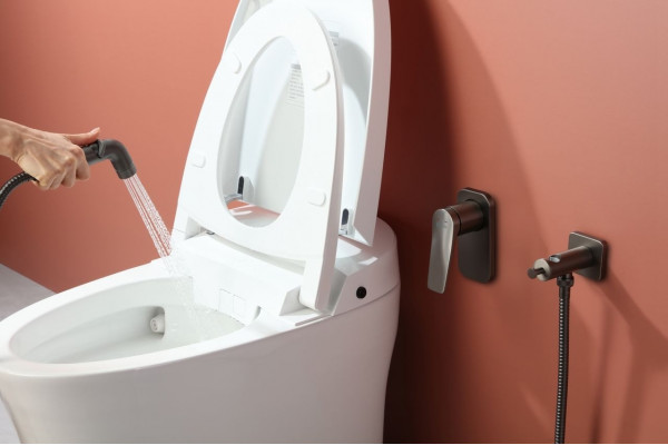 Гигиенический душ Lemark Bronx LM3719GM со смесителем, С ВНУТРЕННЕЙ ЧАСТЬЮ, графит, цвет сталь