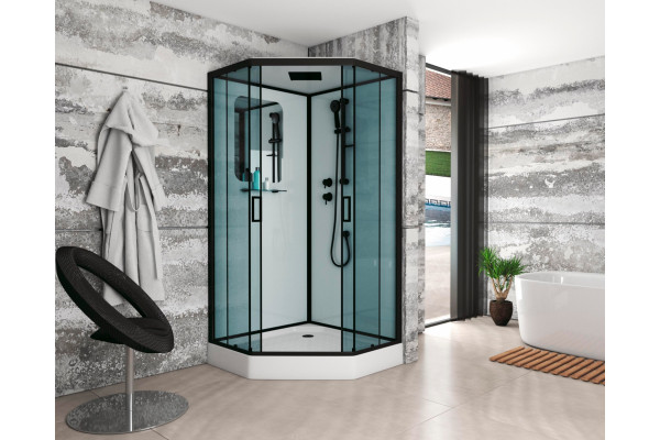 Душевая кабина Niagara Premium NG-6901-01D BLACK 90х90х220 черная поддон низкий, стекло тонированное