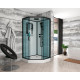 Душевая кабина Niagara Premium NG-6902-01D BLACK 100х100х220 черная поддон низкий, стекло тонированное